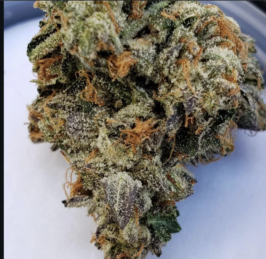 Lindsey OG