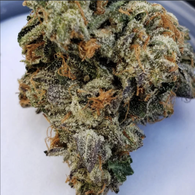 Lindsey OG