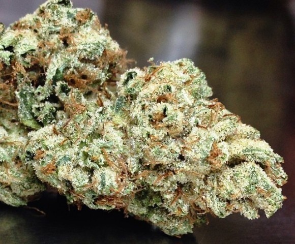 How Cannabis Clones Are Shipped Across Canada: What Buyers Should Know